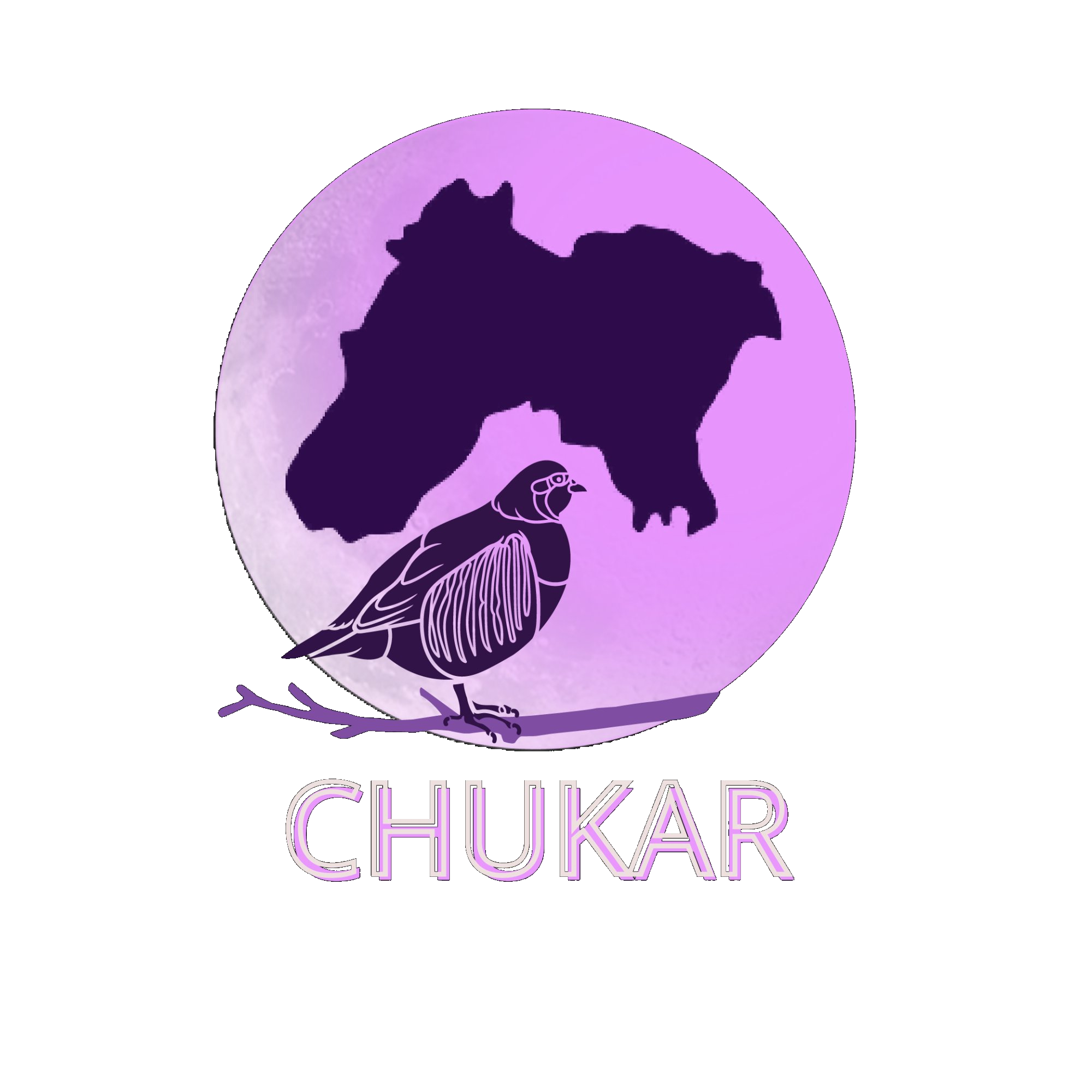 Chukar